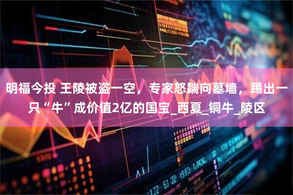 明福今投 王陵被盗一空，专家怒踹向墓墙，踢出一只“牛”成价值2亿的国宝_西夏_铜牛_陵区