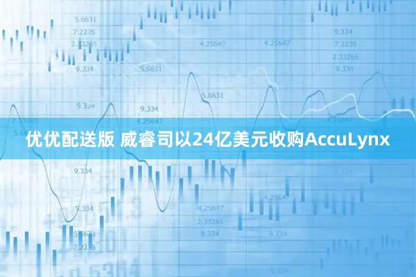 优优配送版 威睿司以24亿美元收购AccuLynx