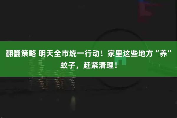 翻翻策略 明天全市统一行动！家里这些地方“养”蚊子，赶紧清理！