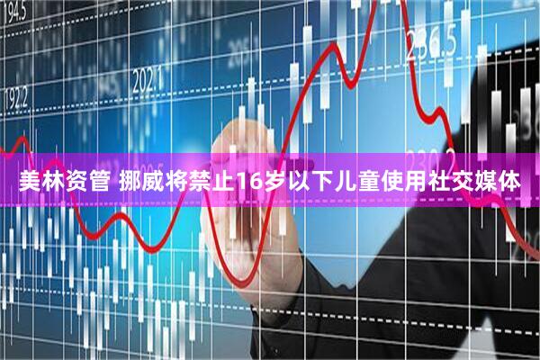 美林资管 挪威将禁止16岁以下儿童使用社交媒体